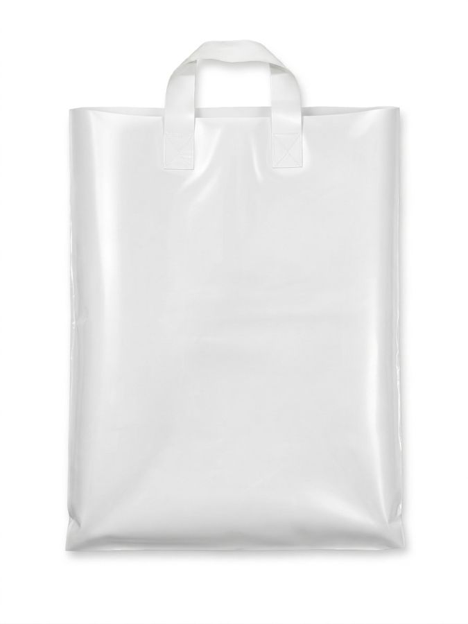 Bolsa de asa de lazo